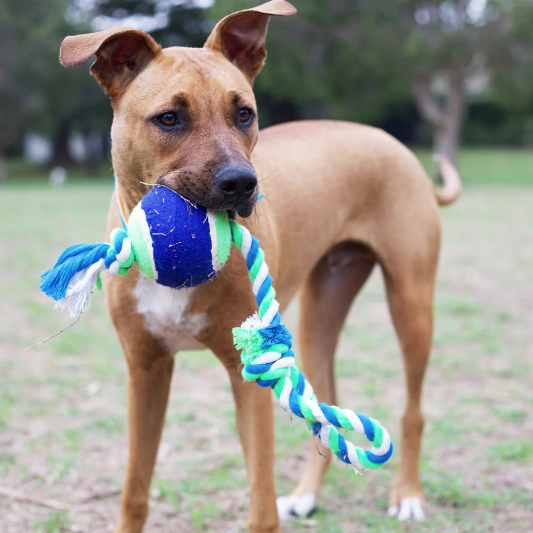 Kazoo Twisted Rope Sling Ball Dog Toy