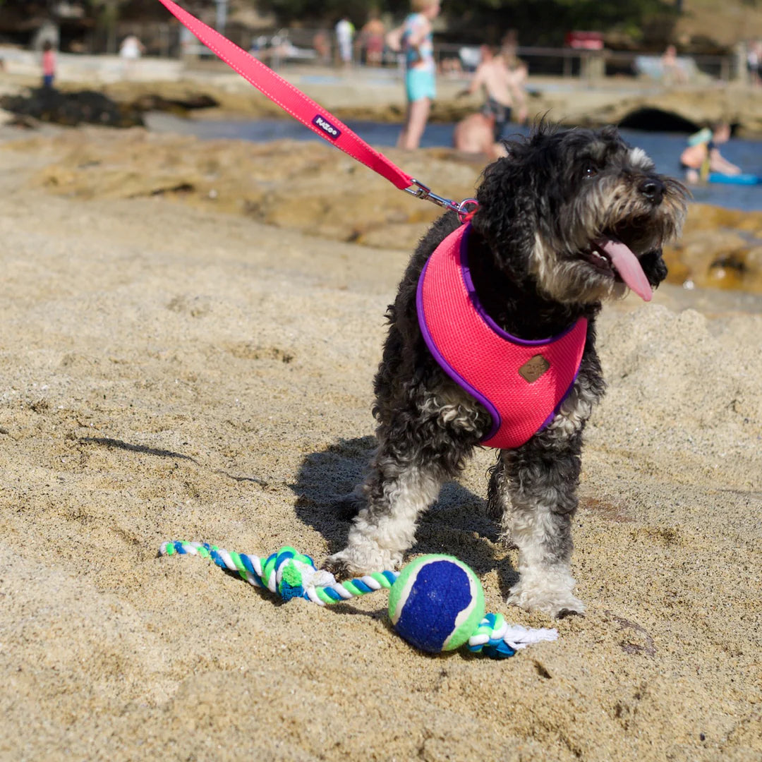 Kazoo Twisted Rope Sling Ball Dog Toy