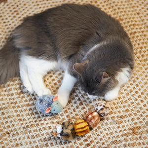 Kazoo Velcro Worm Cat Toy