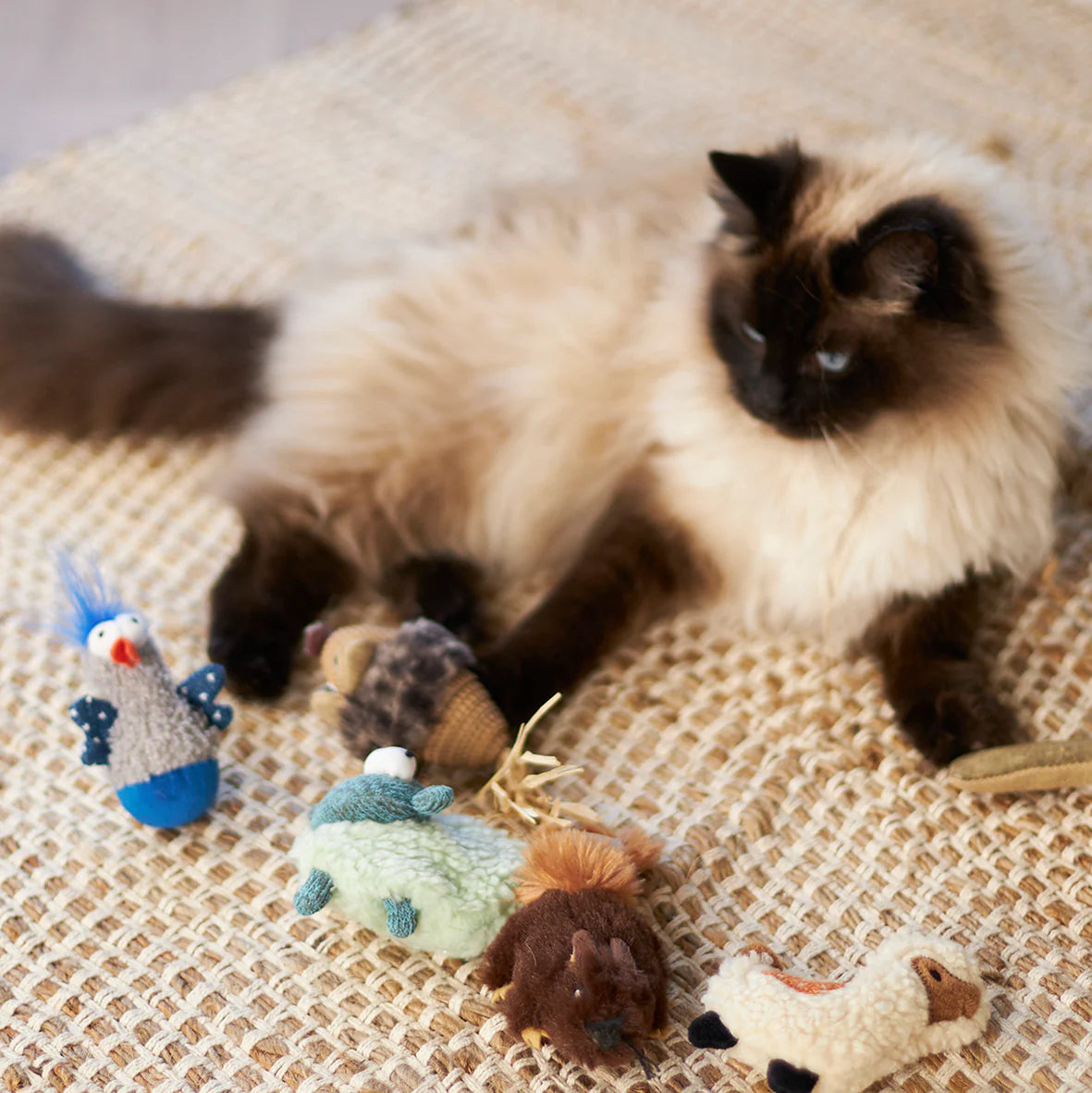 Kazoo Wobble Duck Cat Toy