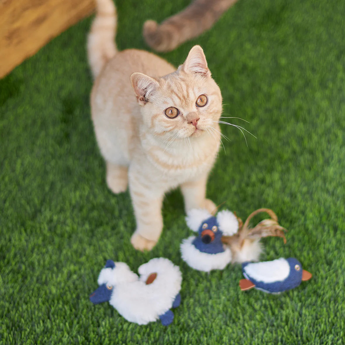 Kazoo Wobble Mouse Cat Toy