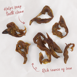 Kazoo Prime Cuts Pig Ear Strips