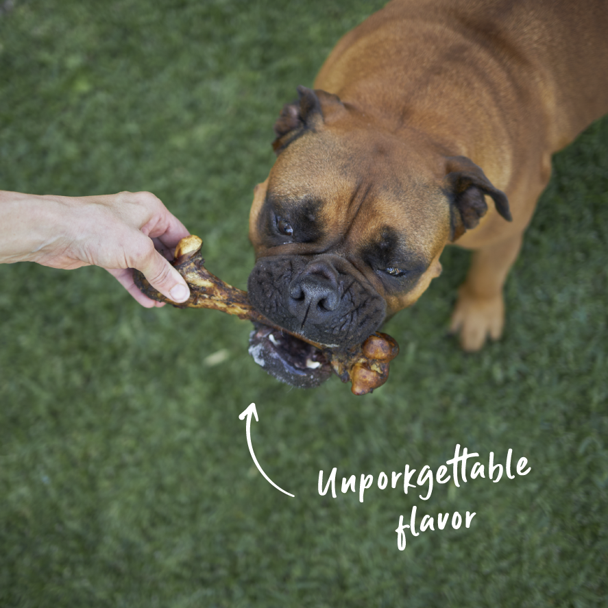 Kazoo Prime Cuts Pork Bone