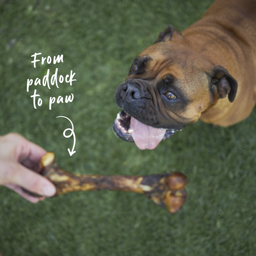 Kazoo Prime Cuts Pork Bone