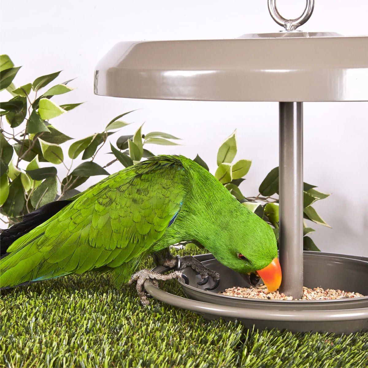 Kazoo Outdoor Bird Feeder