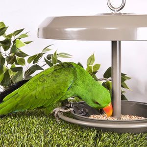 Kazoo Outdoor Bird Feeder