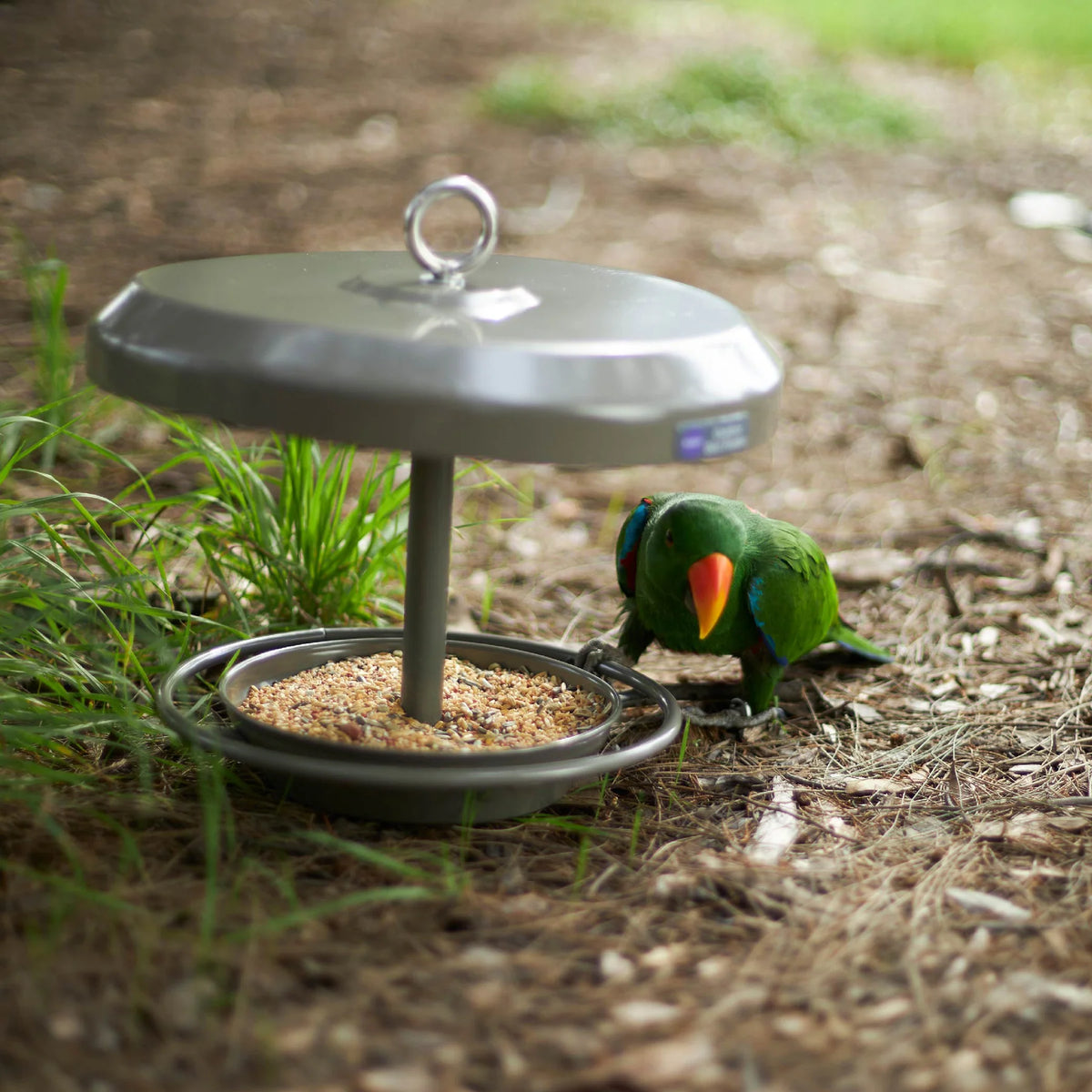 Kazoo Outdoor Bird Feeder