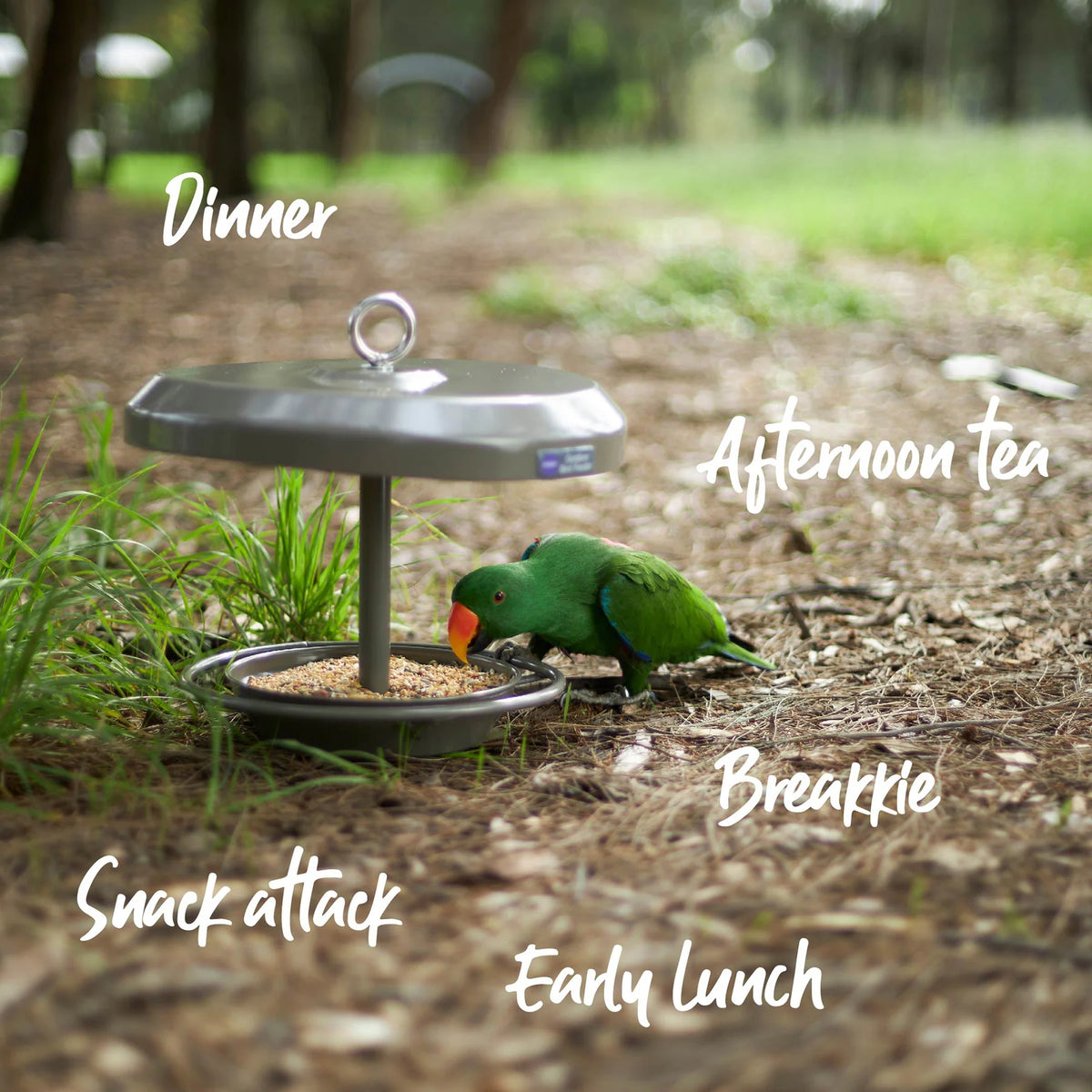 Kazoo Outdoor Bird Feeder