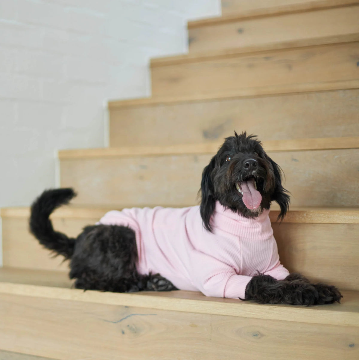 Kazoo Pooch Pajamas