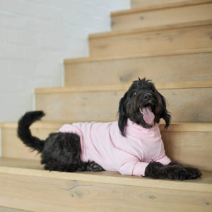 Kazoo Pooch Pajamas