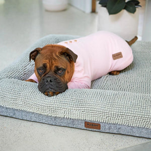 Kazoo Pooch Pajamas