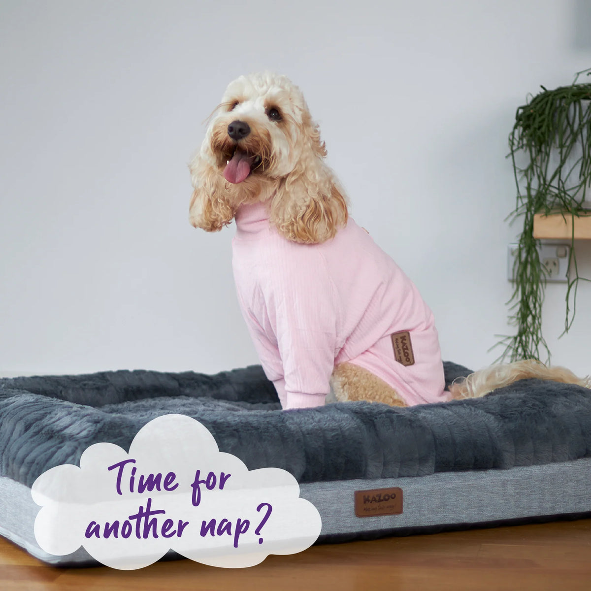 Kazoo Pooch Pajamas