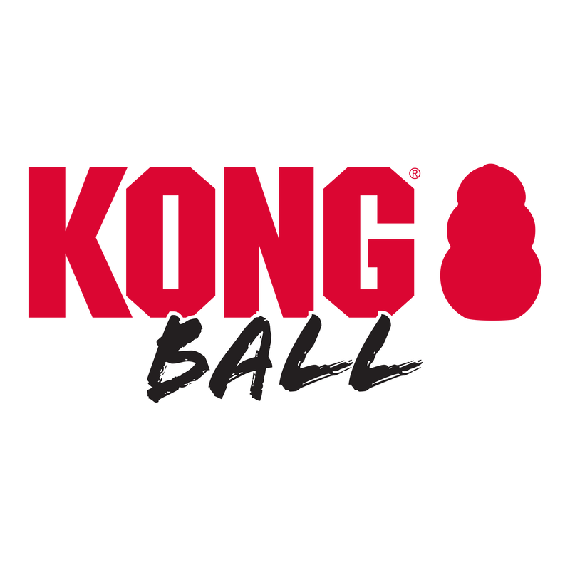 KONG Extreme Ball Dog Toy