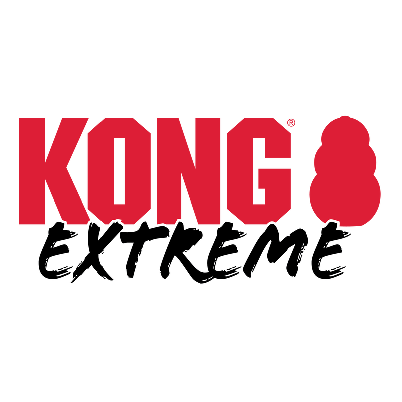 KONG Extreme Black Dog Toy