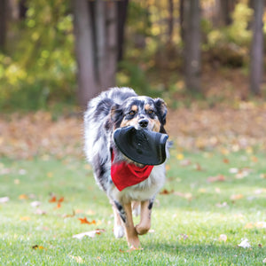 KONG Flyer Frisbee Extreme Dog Toy