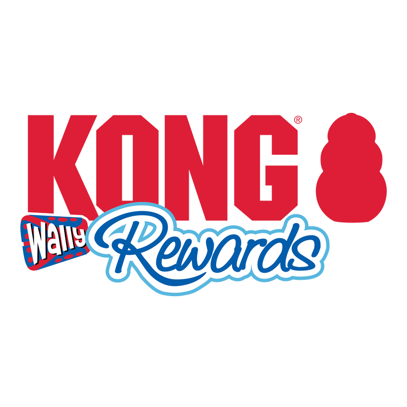 KONG Rewards Wally Treat Dispensing Dog Toy