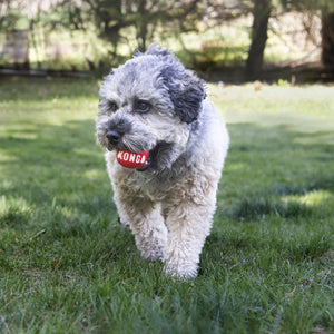 KONG Signature Balls 2pk Dog Toy