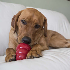 KONG Snacks Peanut Butter Large Dog Treats