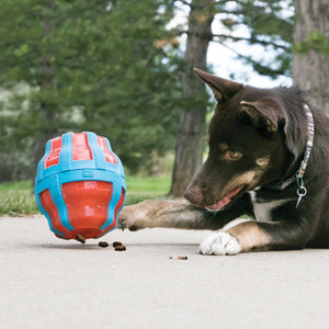 KONG Spinner Dog Toy