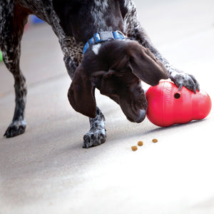 KONG Wobbler Dog Toy