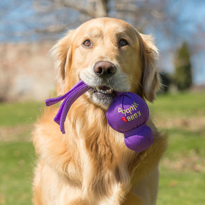 KONG Wubba Original Dog Toy