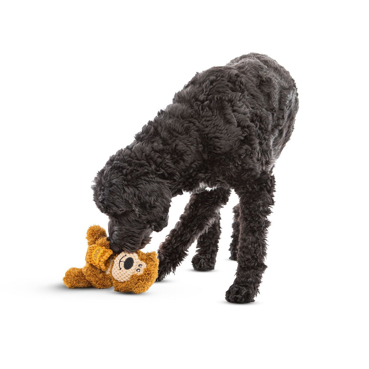 Guru Loveys Bear Medium Dog Toy