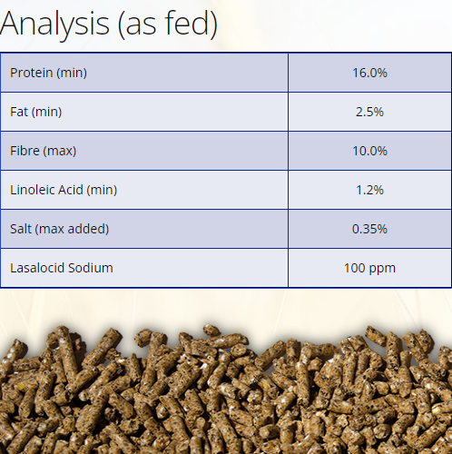 Laucke Mills Pullet Grower MP