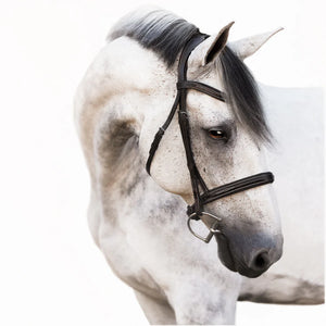 Lumiere Milan Convertible Leather Bridle
