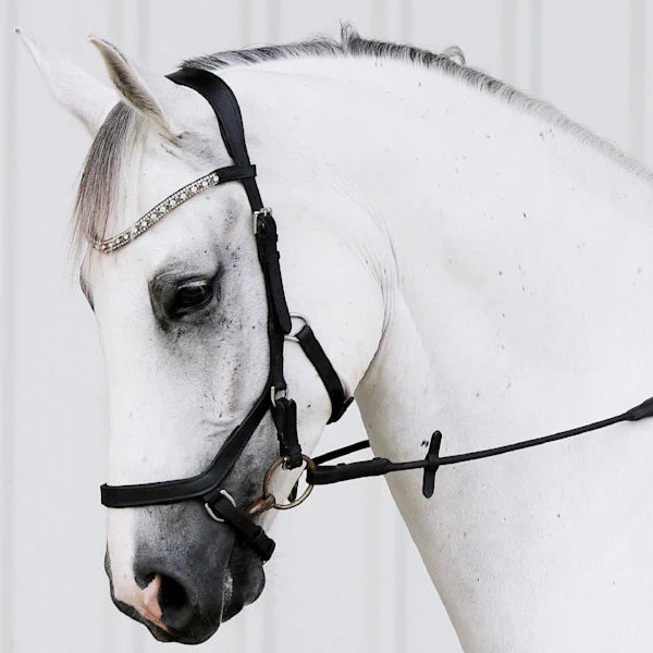 Lumiere Azure Micklem Style Anatomic Leather Bridle