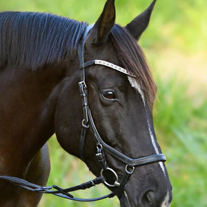 Lumiere Azure Micklem Style Anatomic Leather Bridle