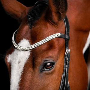 Lumiere Azure Micklem Style Anatomic Leather Bridle