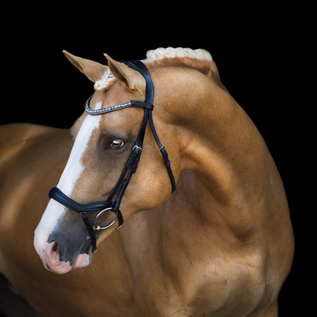 Lumiere Mila Anatomic Leather Bridle