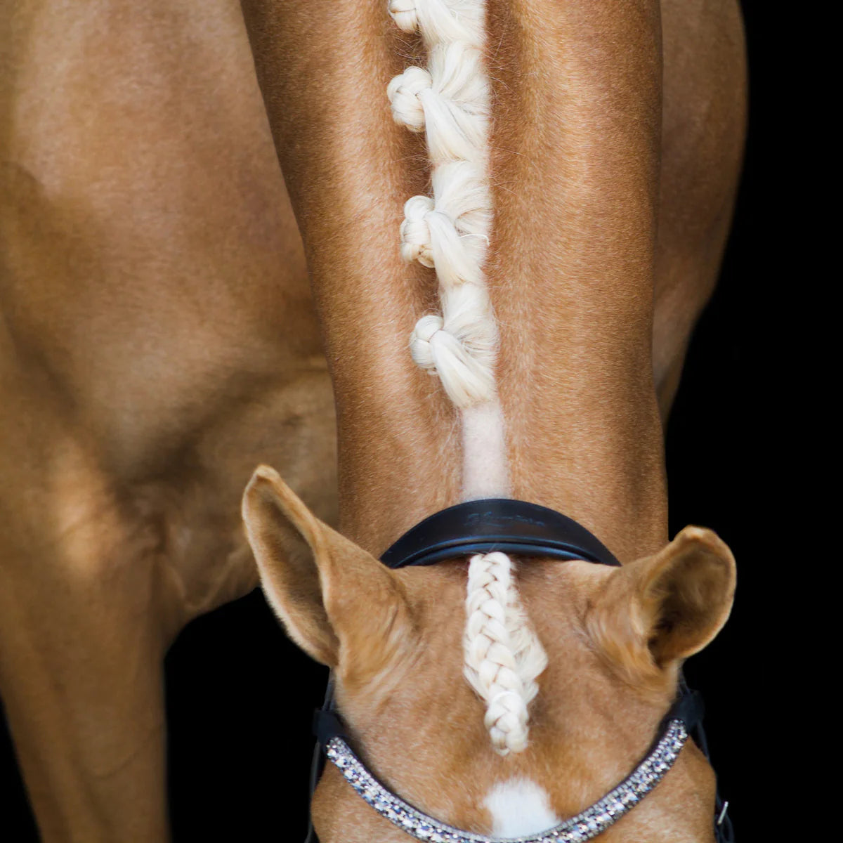 Lumiere Mila Anatomic Leather Bridle