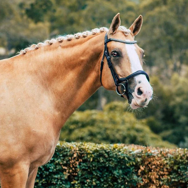 Lumiere Mila Anatomic Leather Bridle