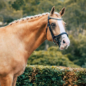 Lumiere Mila Anatomic Leather Bridle