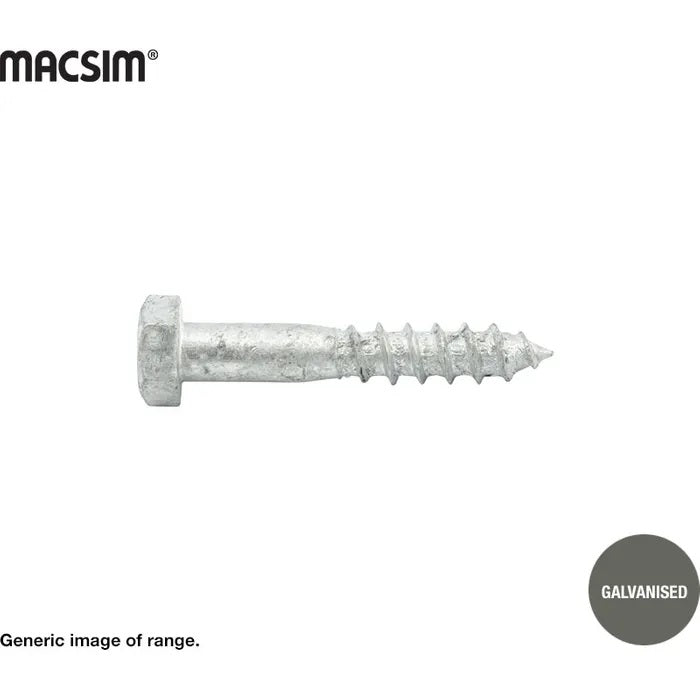 Macsim Coach Screw Galvanised 12mm