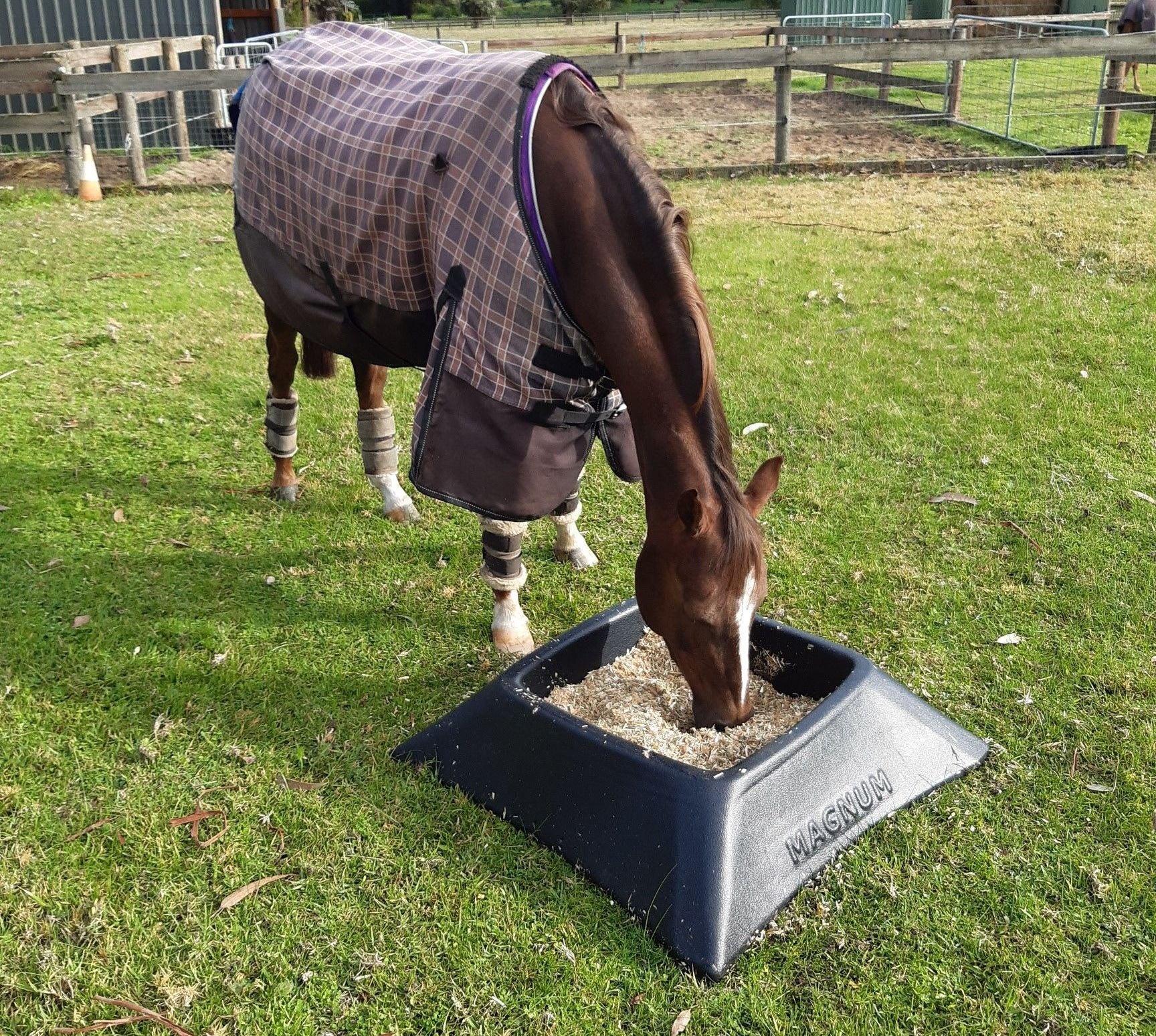 Magnum Paddock Feeder