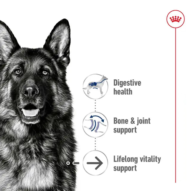 Royal Canin Maxi Ageing Wet Dog Food