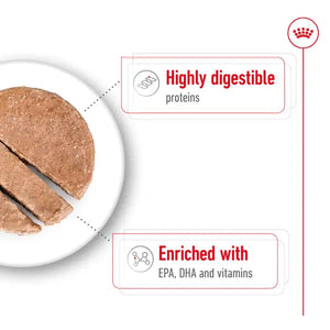 Royal Canin Maxi Ageing Wet Dog Food