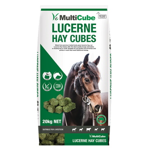 Multicube Lucerne Hay Cubes