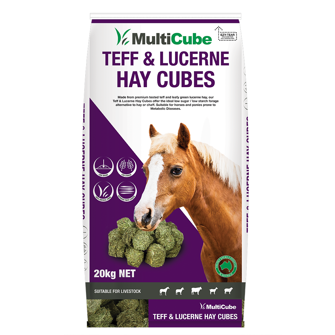 Multicube Lucerne and Teff Hay Cubes