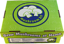 Mushroom Kit - White Button