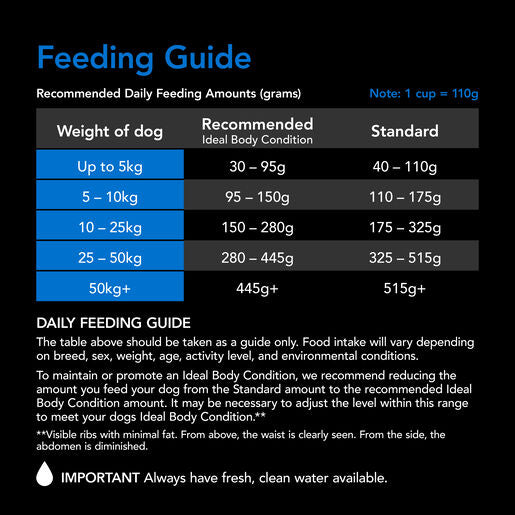 Supercoat Senior Fish Dry Dog Food