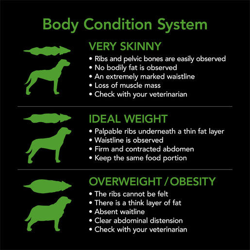 Supercoat Adult Healthy Weight Chicken Dry Dog Food