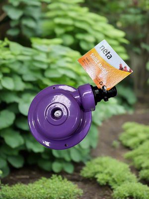 Neta Sprinkler Fountain Dome Purple
