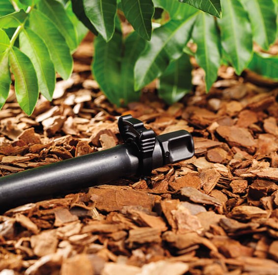 Neta Barb End Plug