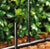 Neta Rigid Riser with Adaptor
