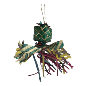 Ninos Java Gift Wrapped