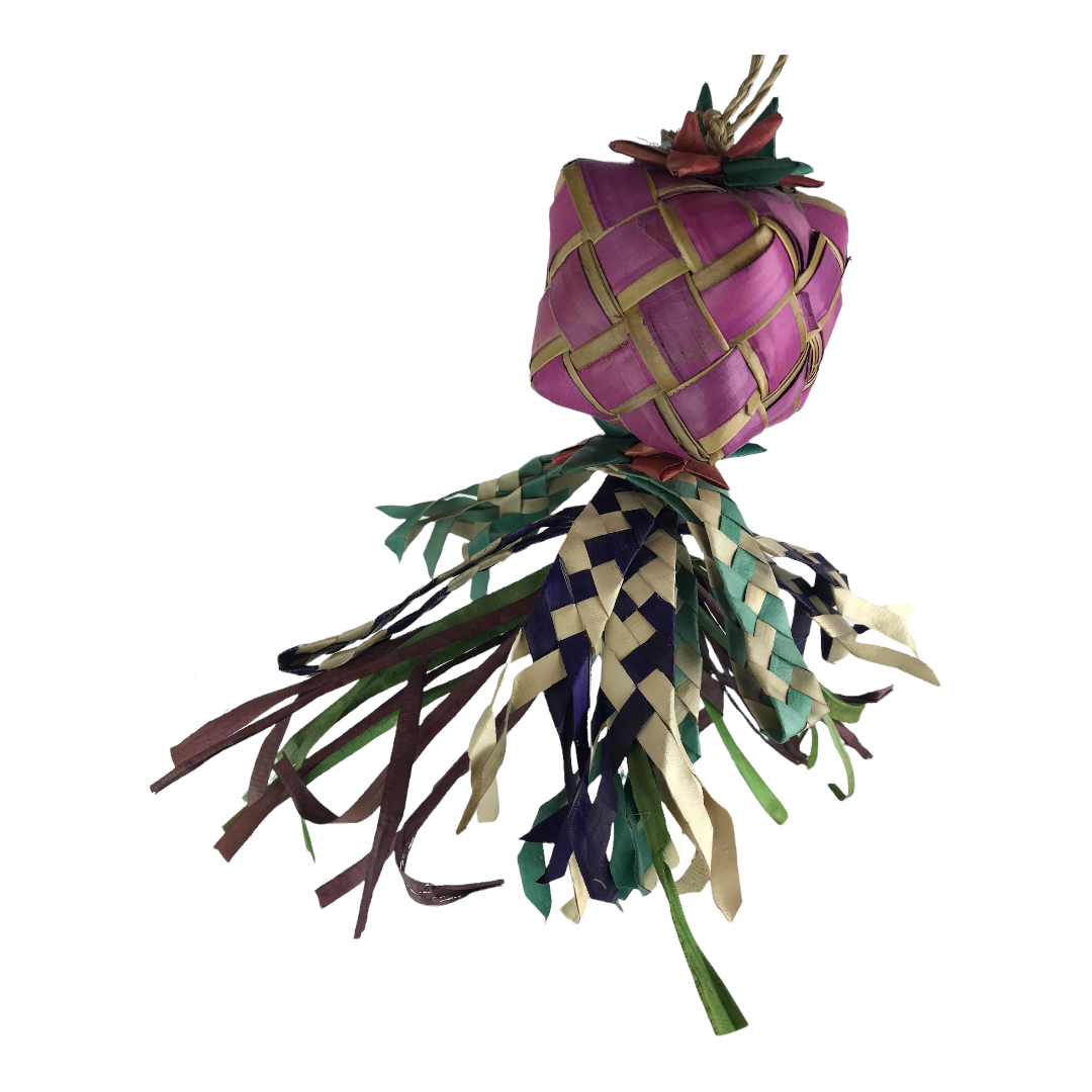 Ninos Java Gift Wrapped