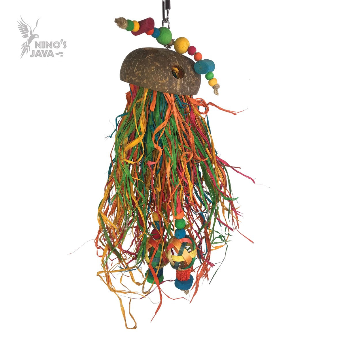 Ninos Java Jellyfish